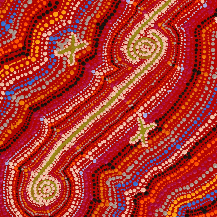 Aboriginal Artwork by Peggy Napurrurla Granites, Pirlarla Jukurrpa (Dogwood Tree Bean Dreaming), 61x46cm