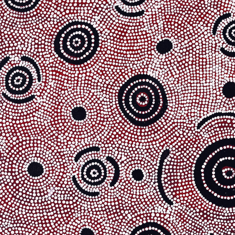 Aboriginal Artwork by Reva Nungarrayi Dickson, Mina Mina Jukurrpa (Mina Mina Dreaming) - Ngalyipi, 107x91cm