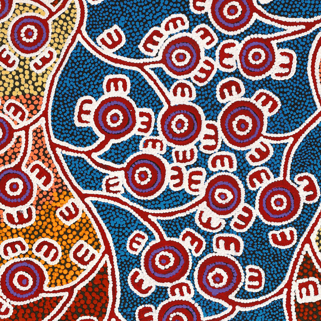 Aboriginal Artwork by Ritasha Nampijinpa Martin, Janganpa Jukurrpa (Brush-tail Possum Dreaming) - Mawurrji, 76x46cm