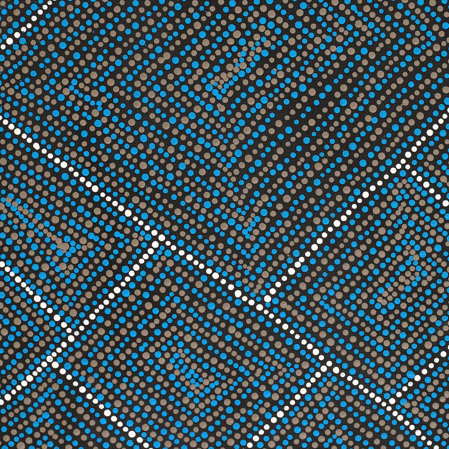 Aboriginal Artwork by Samara Napaljarri Dickson, Watiya-warnu Jukurrpa (Seed Dreaming), 76x46cm