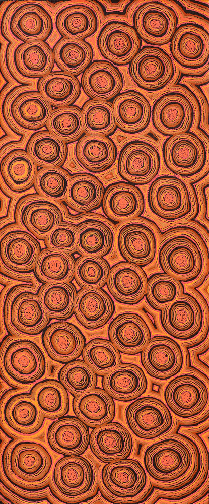 Aboriginal Artwork by Sarah Napaljarri Simms, Mina Mina Jukurrpa (Mina Mina Dreaming), 183x76cm