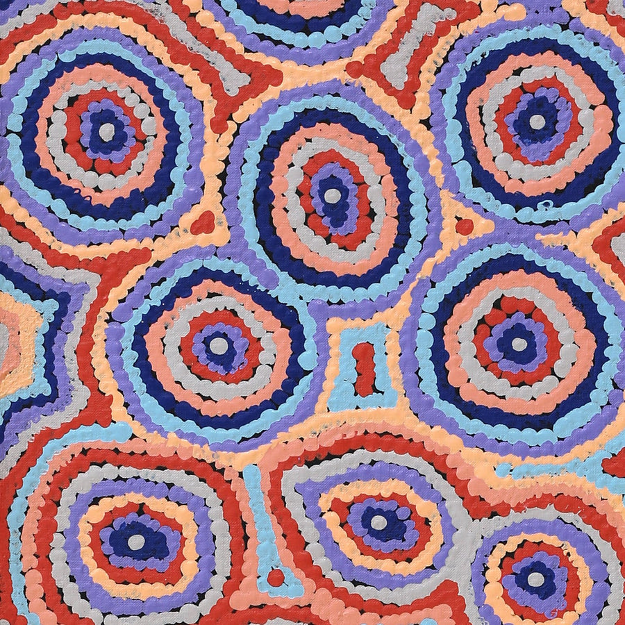 Aboriginal Artwork by Sarah Napaljarri Simms, Mina Mina Jukurrpa (Mina Mina Dreaming) - Ngalyipi, 122x30cm