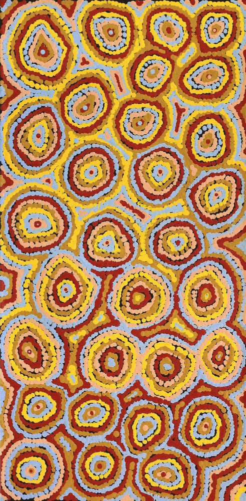 Aboriginal Artwork by Sarah Napaljarri Sims, Pikilyi Jukurrpa (Vaughan Springs Dreaming), 61x30cm