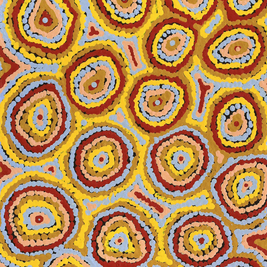 Aboriginal Artwork by Sarah Napaljarri Sims, Pikilyi Jukurrpa (Vaughan Springs Dreaming), 61x30cm