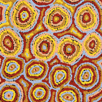 Aboriginal Artwork by Sarah Napaljarri Sims, Pikilyi Jukurrpa (Vaughan Springs Dreaming), 61x30cm