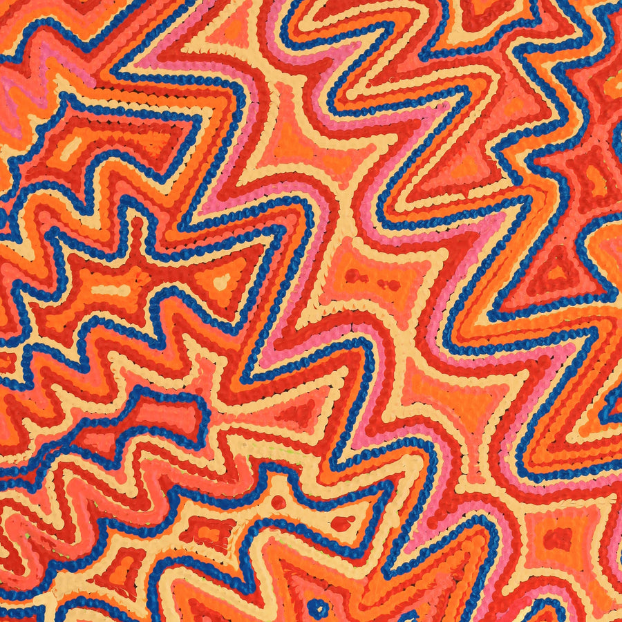 Aboriginal Artwork by Selina Napanangka Fisher, Pikilyi Jukurrpa (Vaughan Springs Dreaming), 61x46cm