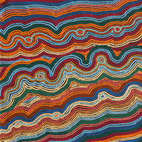 Aboriginal Artwork by Selina Napanangka Fisher, Pikilyi Jukurrpa (Vaughan Springs Dreaming), 61x61cm