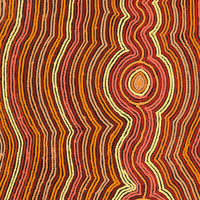 Aboriginal Artwork by Selina Napanangka Fisher, Pikilyi Jukurrpa (Vaughan Springs Dreaming) - Nguri Bird, 122x91cm