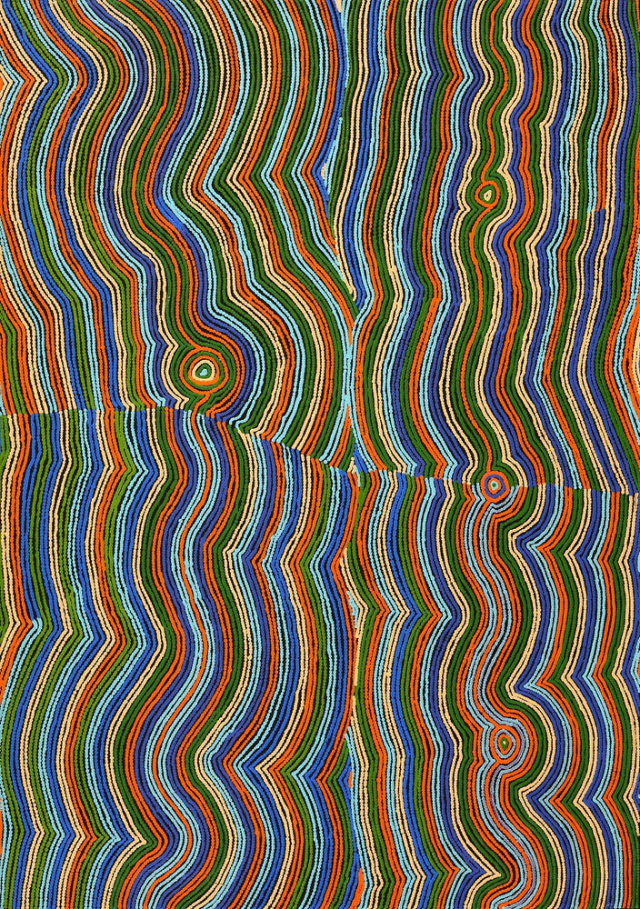 Aboriginal Artwork by Selina Napanangka Fisher, Pikilyi Jukurrpa (Vaughan Springs Dreaming) - Nguri Bird, 152x107cm