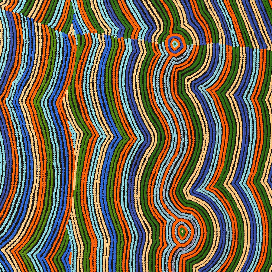 Aboriginal Artwork by Selina Napanangka Fisher, Pikilyi Jukurrpa (Vaughan Springs Dreaming) - Nguri Bird, 152x107cm