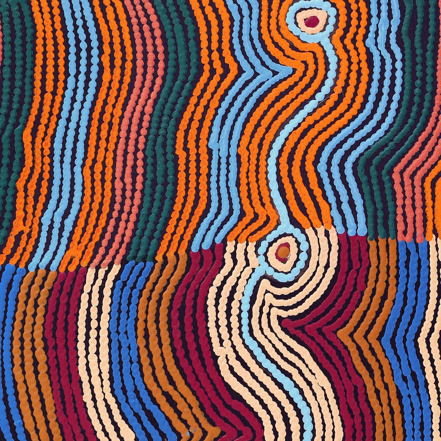 Aboriginal Artwork by Selina Napanangka Fisher, Pikilyi Jukurrpa (Vaughan Springs Dreaming) - Nguri Bird, 76x46cm