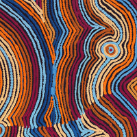 Aboriginal Artwork by Selina Napanangka Fisher, Pikilyi Jukurrpa (Vaughan Springs Dreaming) - Nguri Bird, 76x46cm