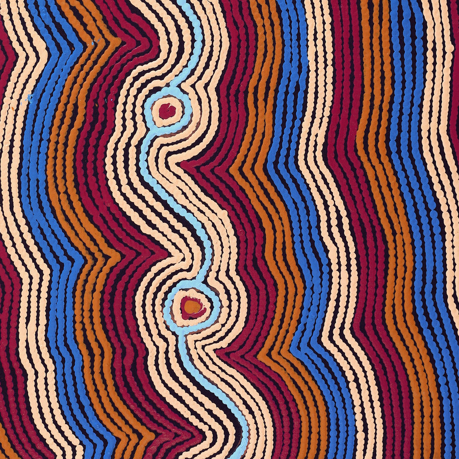 Aboriginal Artwork by Selina Napanangka Fisher, Pikilyi Jukurrpa (Vaughan Springs Dreaming) - Nguri Bird, 76x46cm