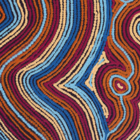 Aboriginal Artwork by Selina Napanangka Fisher, Pikilyi Jukurrpa (Vaughan Springs Dreaming) - Nguri Bird, 76x46cm
