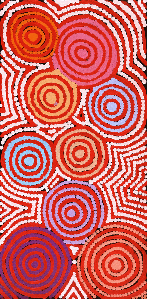 Aboriginal Artwork by Shaimaya Nampijinpa Brown, Luurnpa Jukurrpa (Kingfisher Dreaming) - Lake MacKay, 61x30cm