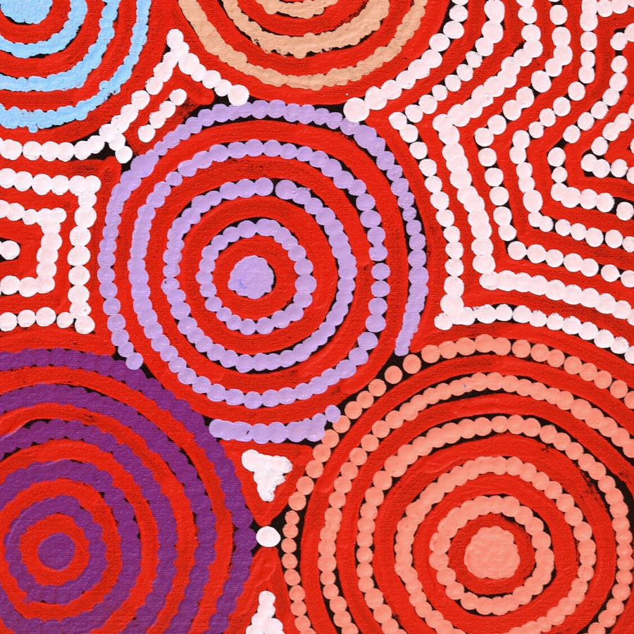Aboriginal Artwork by Shaimaya Nampijinpa Brown, Luurnpa Jukurrpa (Kingfisher Dreaming) - Lake MacKay, 61x30cm