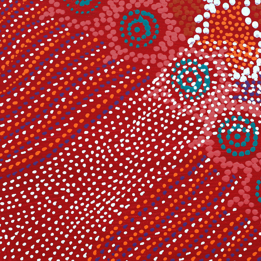 Aboriginal Artwork by Shanna Napanangka Williams, Napaljarri-Warnu Jukurrpa (Seven Sisters Dreaming), 30x30cm