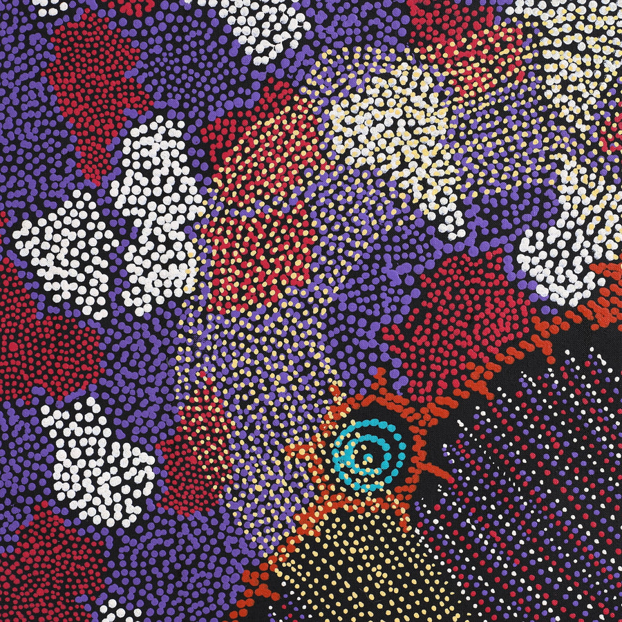Aboriginal Artwork by Shanna Napanangka Williams, Seven Sisters Dreaming, 107x107cm