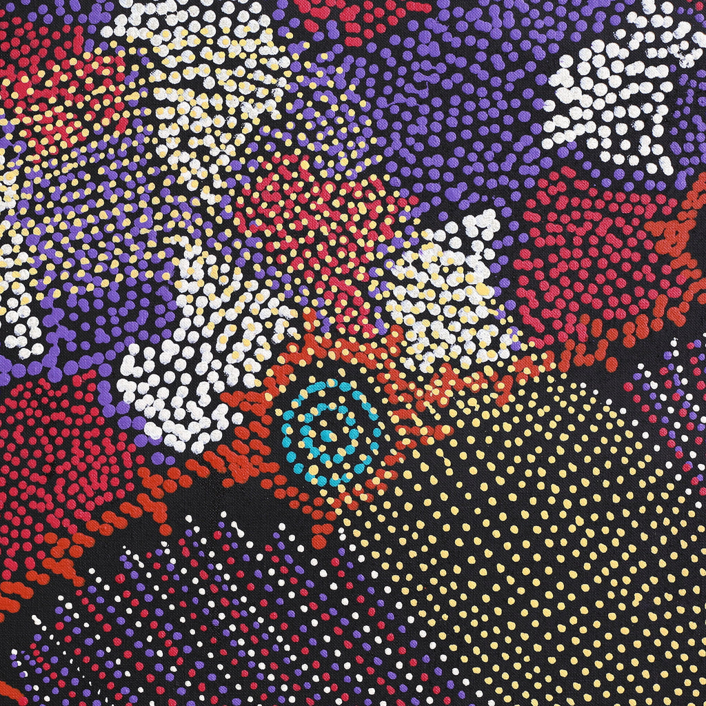 Aboriginal Artwork by Shanna Napanangka Williams, Seven Sisters Dreaming, 107x107cm