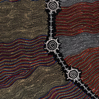 Aboriginal Artwork by Shanna Napanangka Williams, Seven Sisters Dreaming, 152x61cm