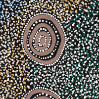 Aboriginal Artwork by Sharelle Napangardi Dixon, Karnta Jukurrpa (Womens Dreaming), 91x30cm