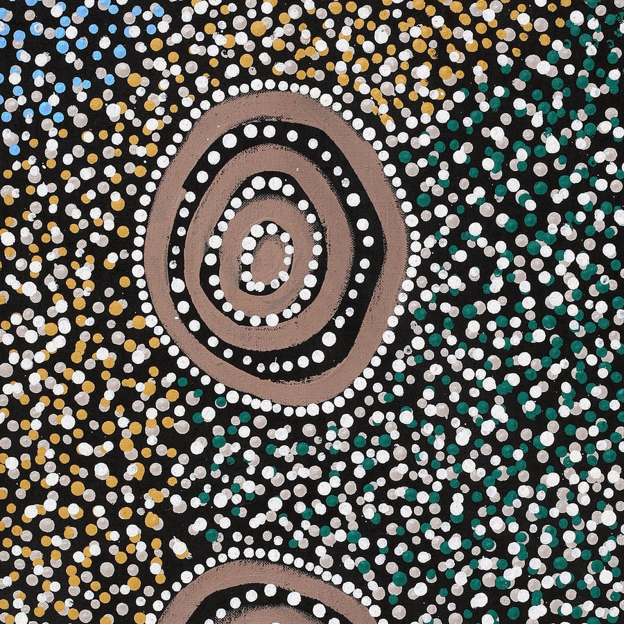 Aboriginal Artwork by Sharelle Napangardi Dixon, Karnta Jukurrpa (Womens Dreaming), 91x30cm