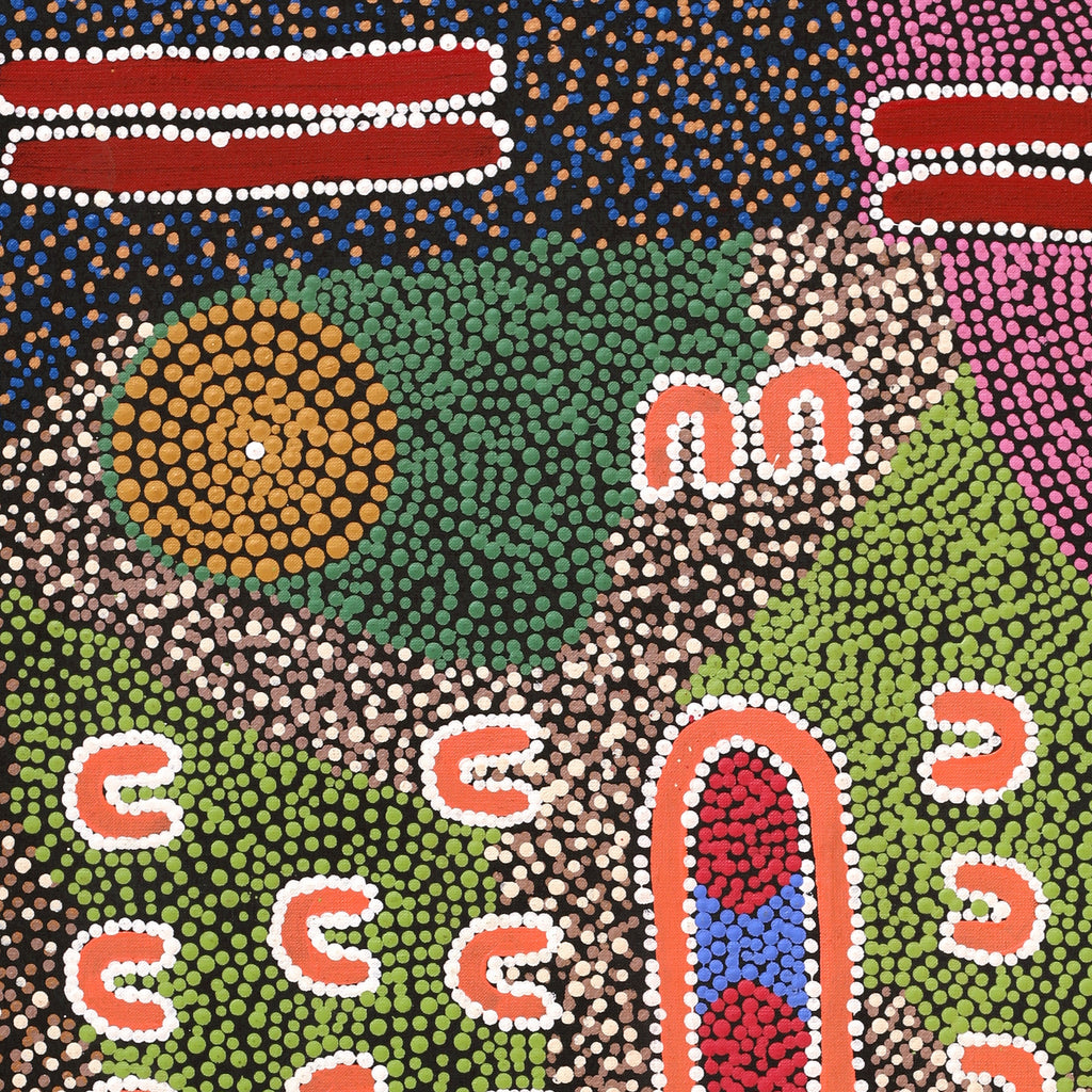 Aboriginal Art by Sharelle Napangardi Dixon, Karnta Jukurrpa (Womens Dreaming), 91x61cm - ART ARK®