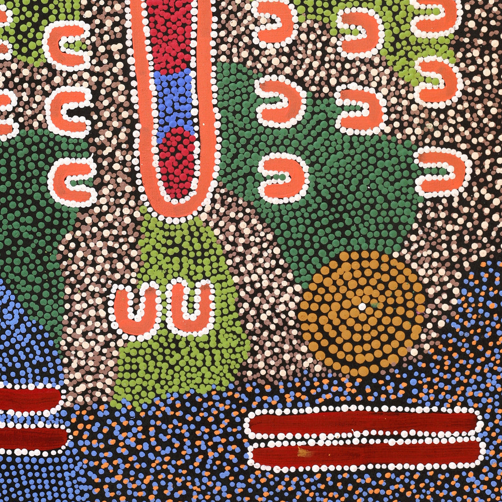 Aboriginal Artwork by Sharelle Napangardi Dixon, Karnta Jukurrpa (Womens Dreaming), 91x61cm