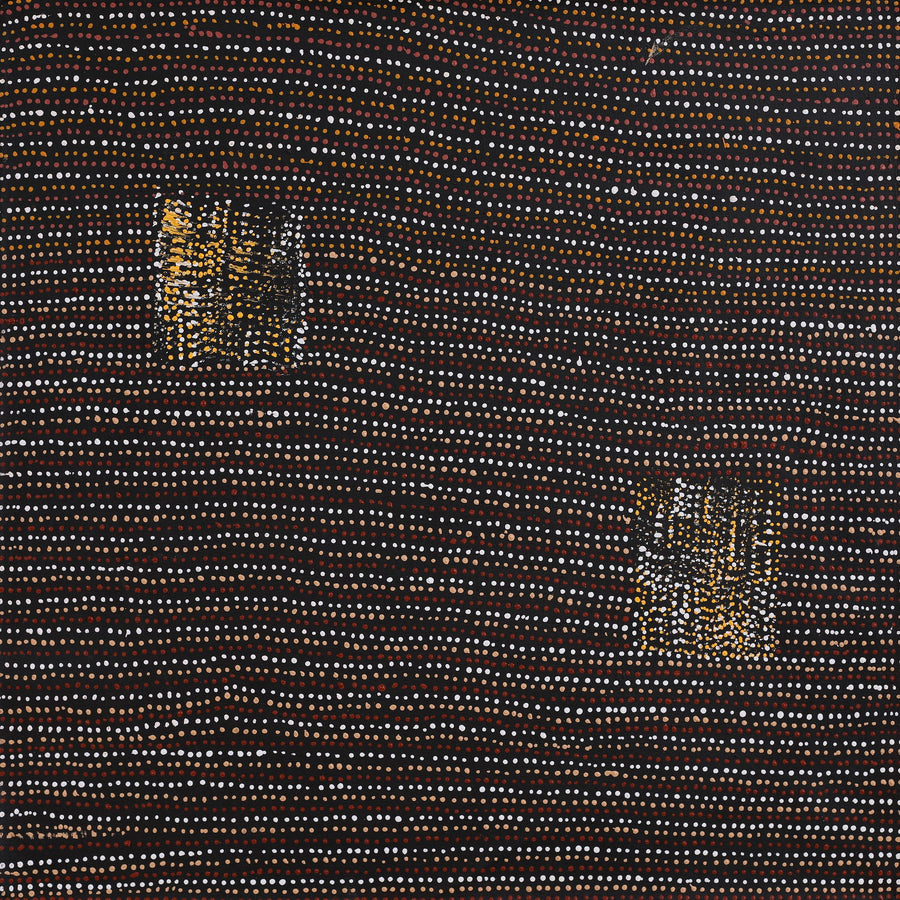 Aboriginal Artwork by Shirley Nampijinpa Turner, Pikilyi Jukurrpa (Vaughan Springs Dreaming), 61x61cm
