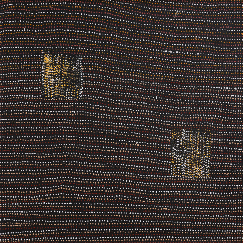 Aboriginal Artwork by Shirley Nampijinpa Turner, Pikilyi Jukurrpa (Vaughan Springs Dreaming), 61x61cm
