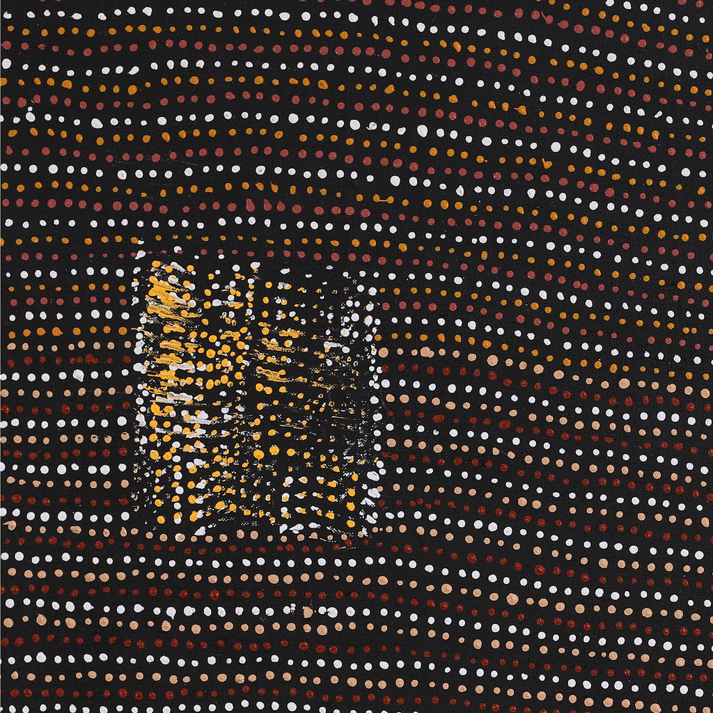 Aboriginal Artwork by Shirley Nampijinpa Turner, Pikilyi Jukurrpa (Vaughan Springs Dreaming), 61x61cm