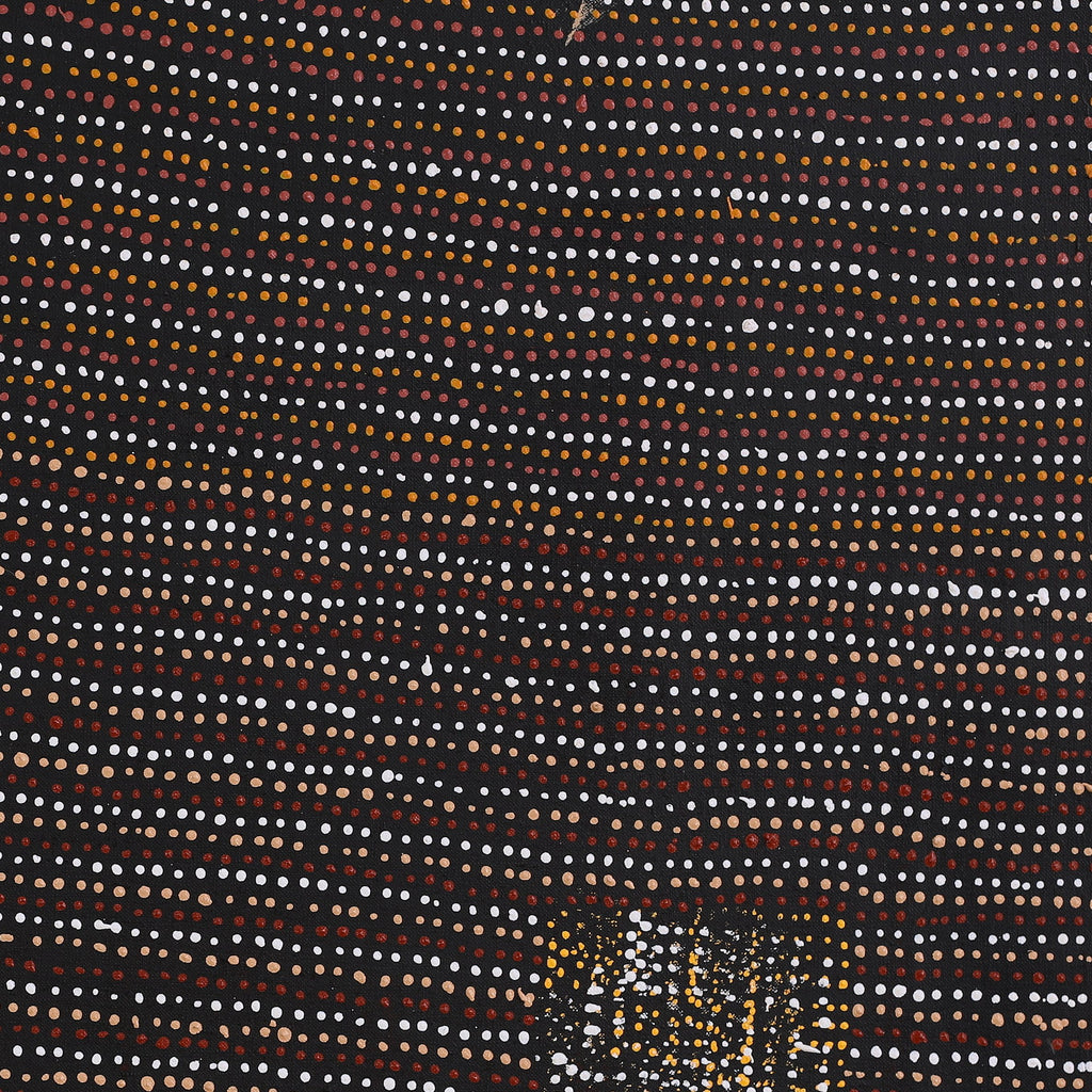 Aboriginal Artwork by Shirley Nampijinpa Turner, Pikilyi Jukurrpa (Vaughan Springs Dreaming), 61x61cm