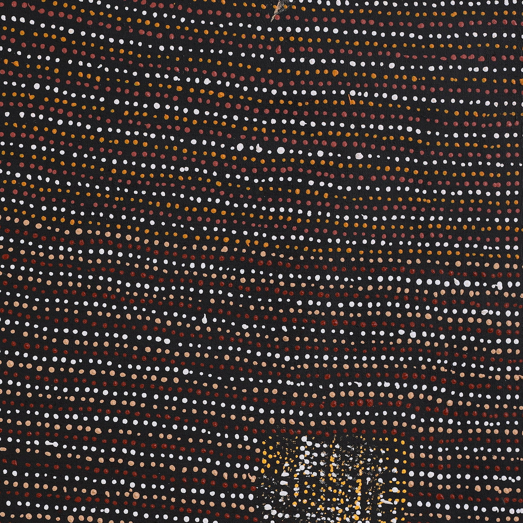Aboriginal Art by Shirley Nampijinpa Turner, Pikilyi Jukurrpa (Vaughan Springs Dreaming), 61x61cm - ART ARK®