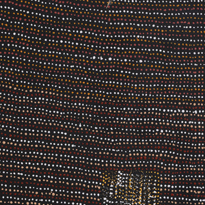 Aboriginal Art by Shirley Nampijinpa Turner, Pikilyi Jukurrpa (Vaughan Springs Dreaming), 61x61cm - ART ARK®