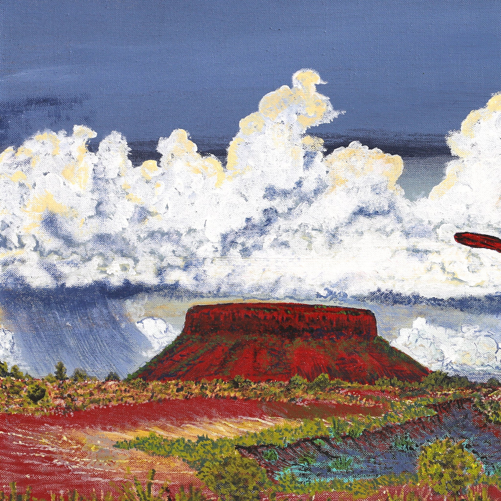 Aboriginal Artwork by Simon Jampijinpa Brown, Nguru Nyirrpi-wana (Country around Nyirrpi), 61x30cm