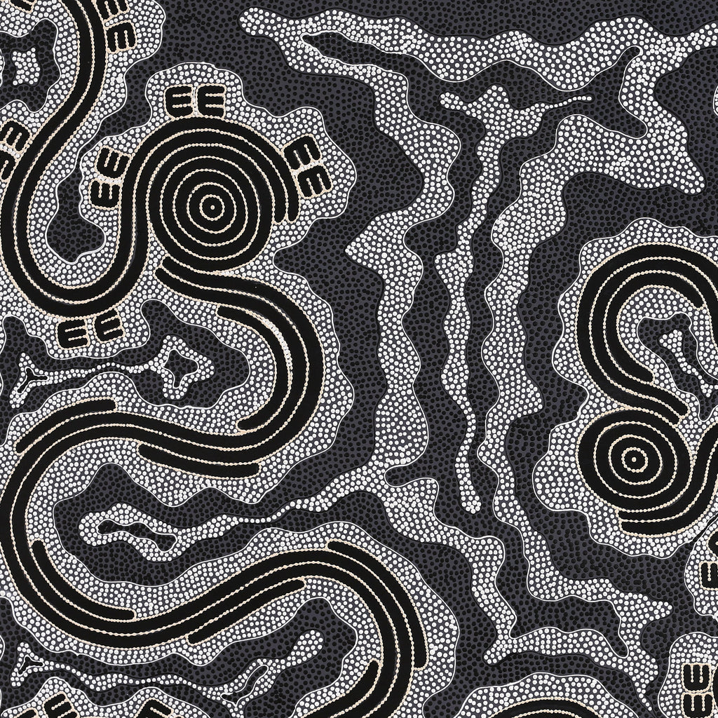 Aboriginal Artwork by Stephanie Napurrurla Nelson, Janganpa Jukurrpa (Brush-tail Possum Dreaming) - Mawurrji, 122x122cm