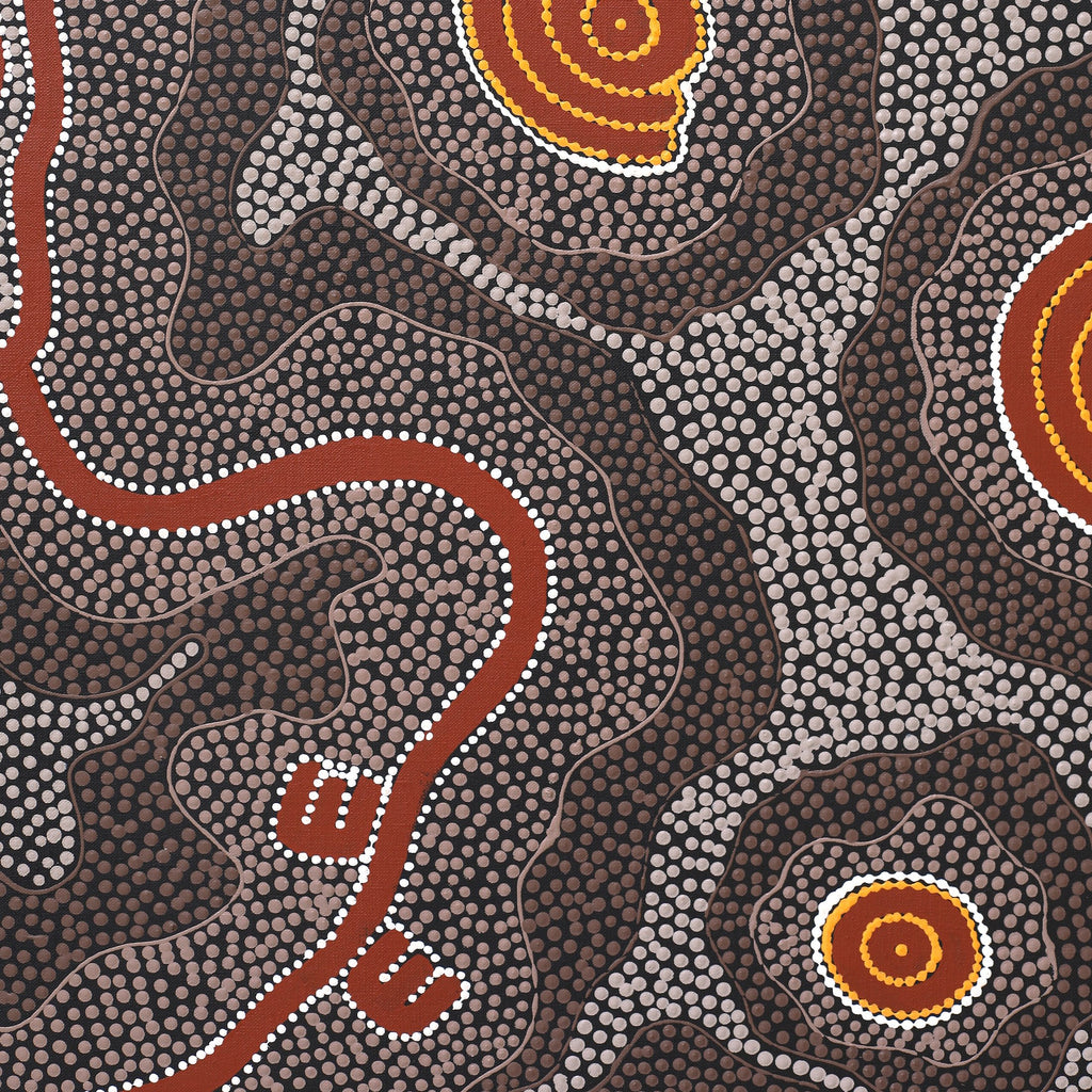 Aboriginal Art by Stephanie Napurrurla Nelson, Janganpa Jukurrpa (Brush-tail Possum Dreaming) - Mawurrji, 183x107cm - ART ARK®