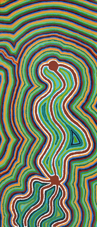 Aboriginal Artwork by Stephen Jakamarra Walker, Pirlarla Jukurrpa (Dogwood Tree Bean Dreaming), 107x46cm