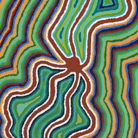 Aboriginal Artwork by Stephen Jakamarra Walker, Pirlarla Jukurrpa (Dogwood Tree Bean Dreaming), 107x46cm