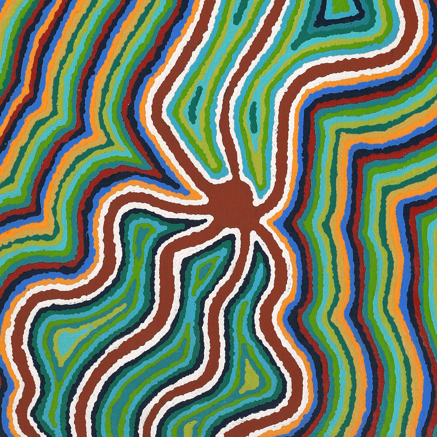 Aboriginal Artwork by Stephen Jakamarra Walker, Pirlarla Jukurrpa (Dogwood Tree Bean Dreaming), 107x46cm
