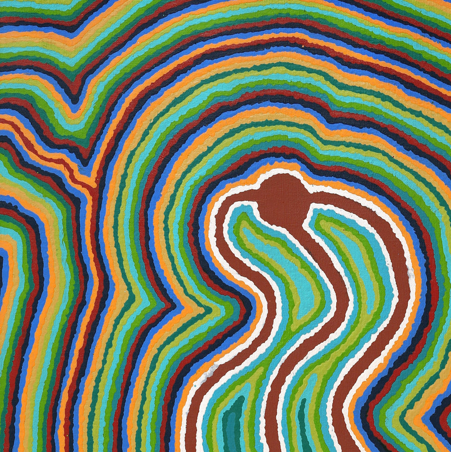 Aboriginal Artwork by Stephen Jakamarra Walker, Pirlarla Jukurrpa (Dogwood Tree Bean Dreaming), 107x46cm