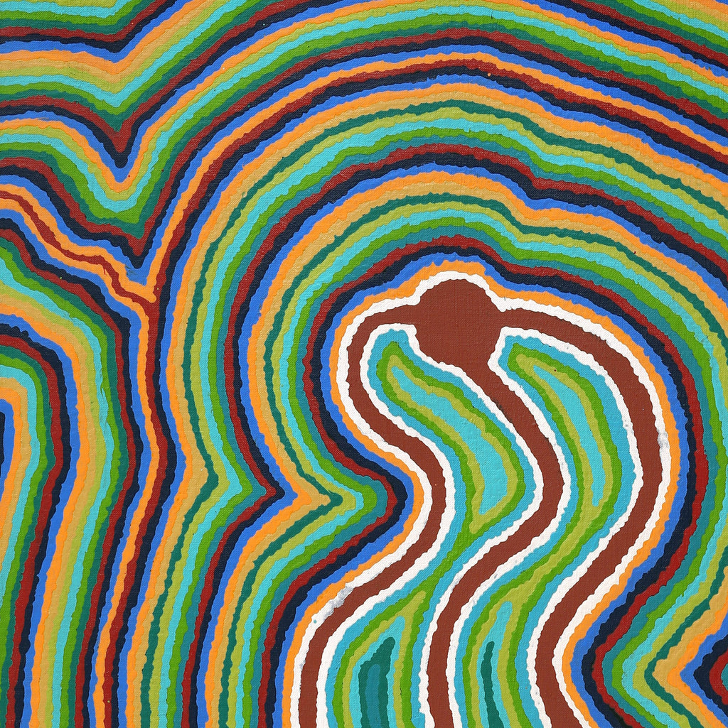 Aboriginal Art by Stephen Jakamarra Walker, Pirlarla Jukurrpa (Dogwood Tree Bean Dreaming), 107x46cm - ART ARK®