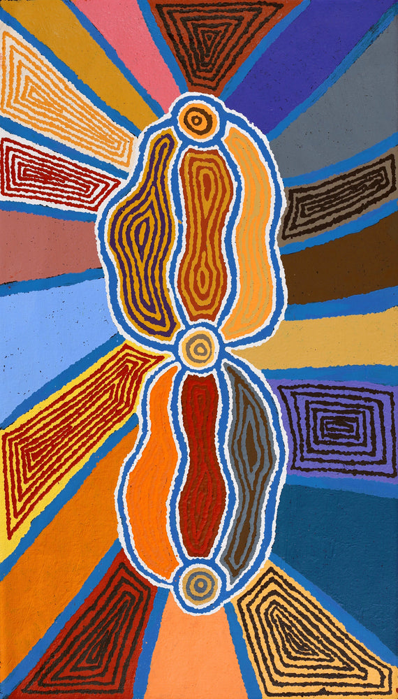 Aboriginal Artwork by Stephen Jakamarra Walker, Pirlarla Jukurrpa (Dogwood Tree Bean Dreaming), 107X61cm