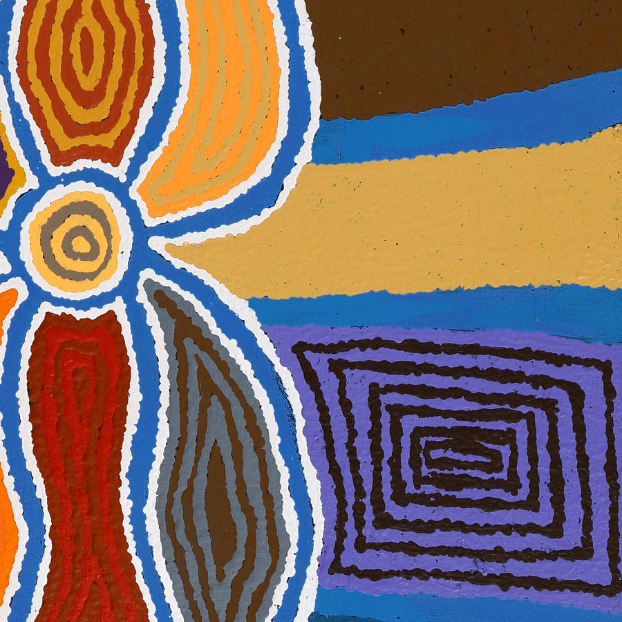 Aboriginal Artwork by Stephen Jakamarra Walker, Pirlarla Jukurrpa (Dogwood Tree Bean Dreaming), 107X61cm