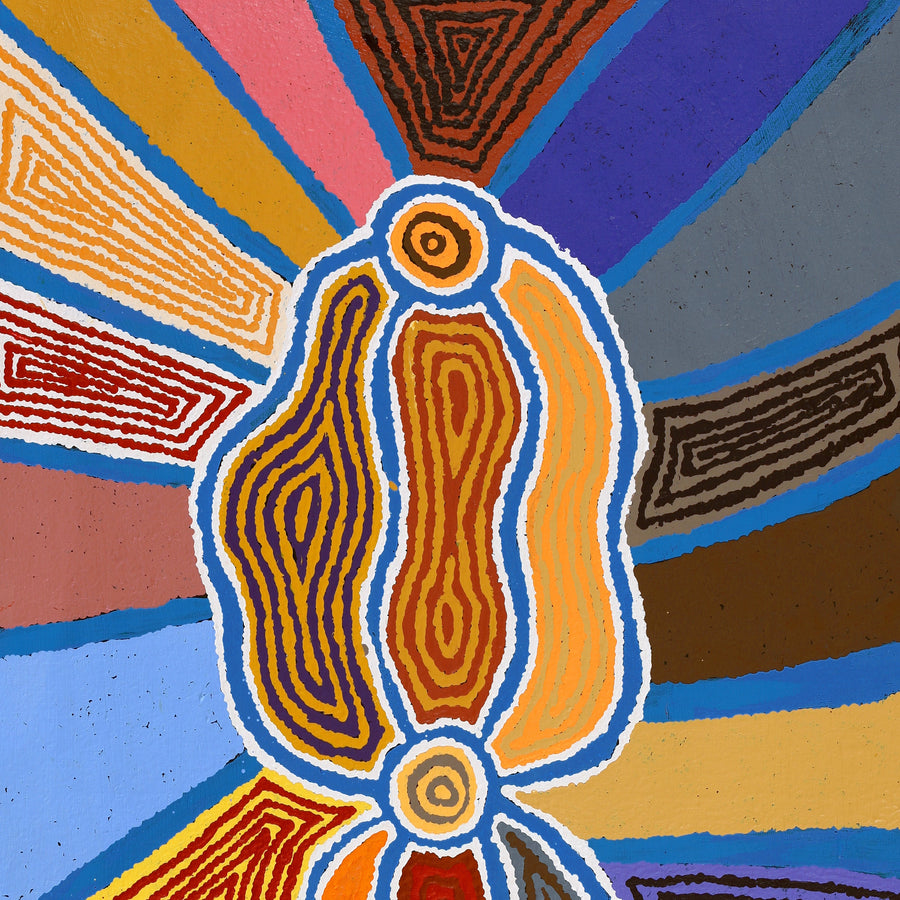 Aboriginal Artwork by Stephen Jakamarra Walker, Pirlarla Jukurrpa (Dogwood Tree Bean Dreaming), 107X61cm