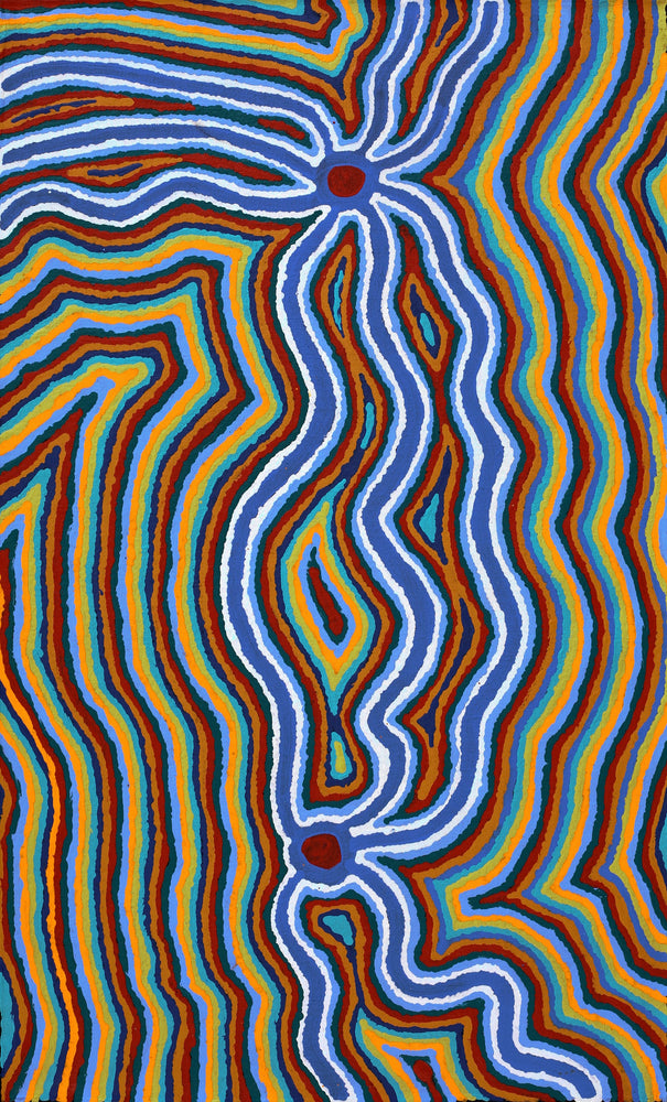 Aboriginal Artwork by Stephen Jakamarra Walker, Pirlarla Jukurrpa (Dogwood Tree Bean Dreaming), 76x46cm