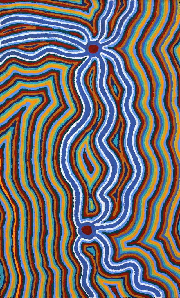 Aboriginal Artwork by Stephen Jakamarra Walker, Pirlarla Jukurrpa (Dogwood Tree Bean Dreaming), 76x46cm