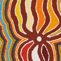 Aboriginal Artwork by Stephen Jakamarra Walker, Pirlarla Jukurrpa (Dogwood Tree Bean Dreaming), 76x46cm