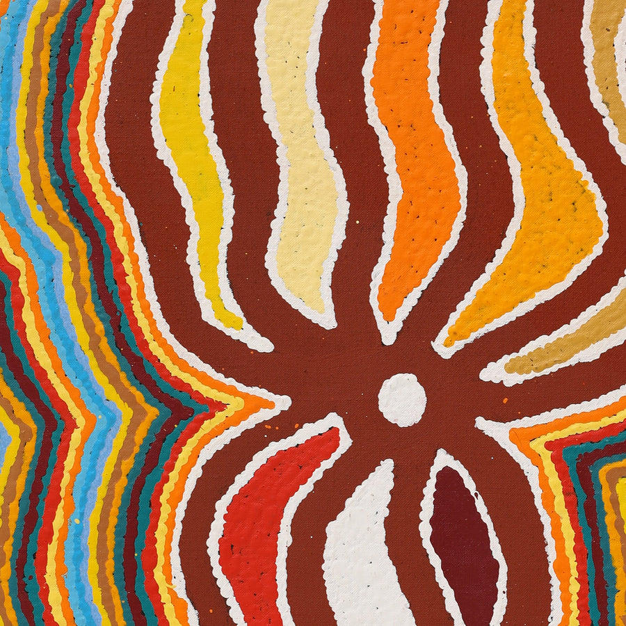 Aboriginal Artwork by Stephen Jakamarra Walker, Pirlarla Jukurrpa (Dogwood Tree Bean Dreaming), 76x46cm