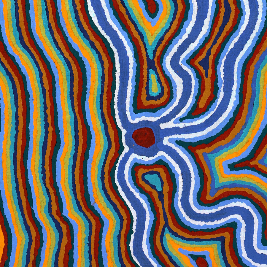 Aboriginal Artwork by Stephen Jakamarra Walker, Pirlarla Jukurrpa (Dogwood Tree Bean Dreaming), 76x46cm